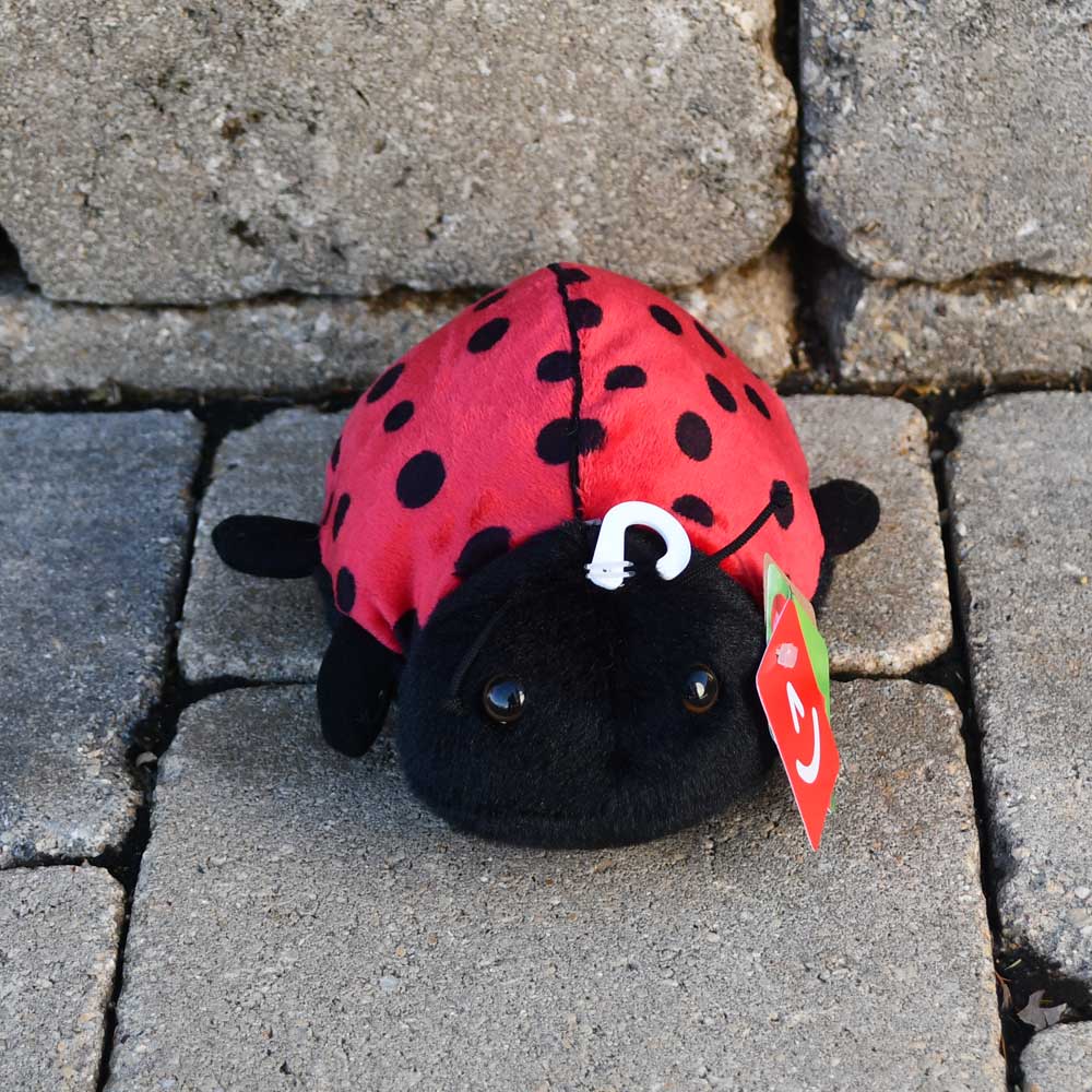 Little Lucy the Ladybug stuffed animal
