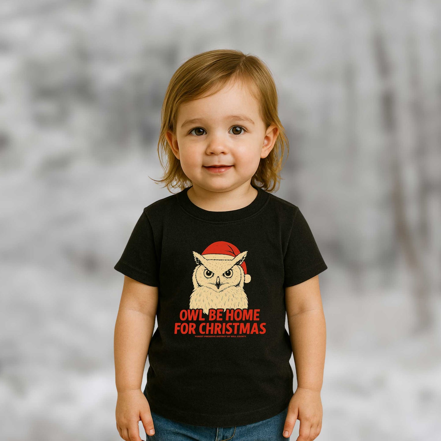 Owl be home for Christmas T-shirt
