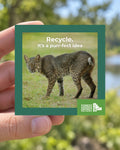 Bobcat magnet