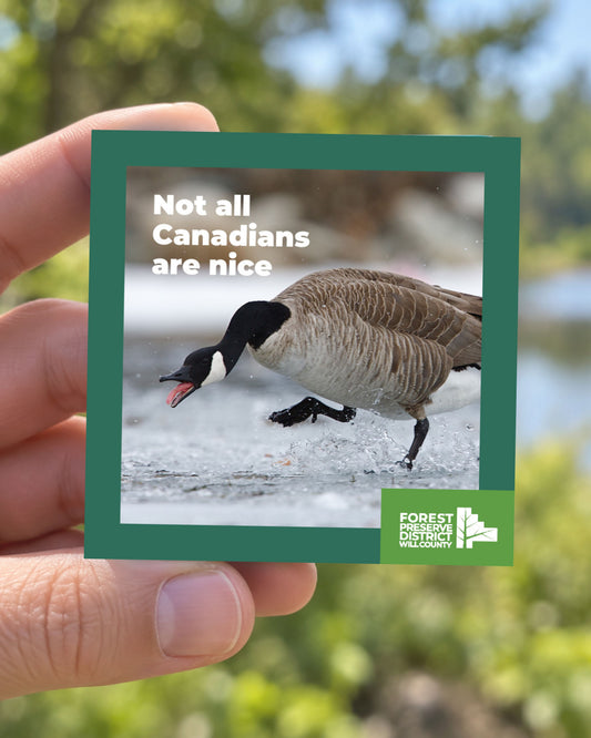 Not all Canadians are nice magnet