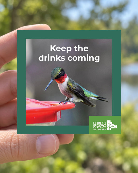 Keep the drinks coming hummingbird magnet