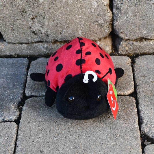 Little Lucy the Ladybug stuffed animal