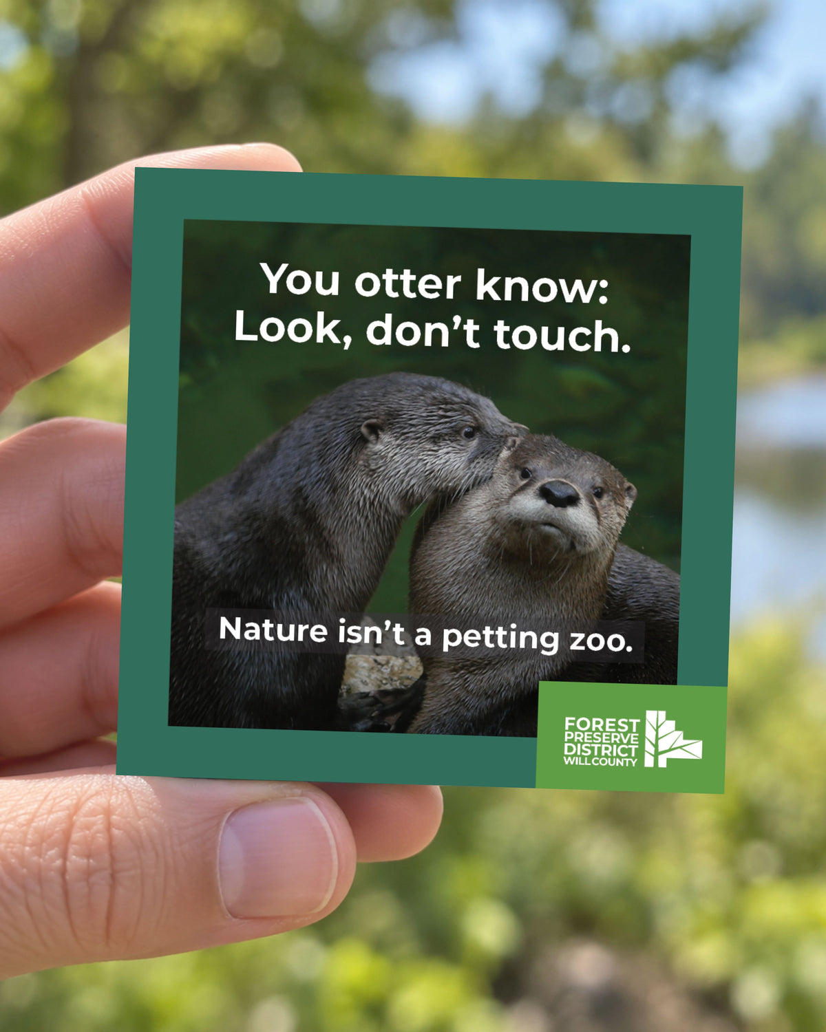 You otter know magnet