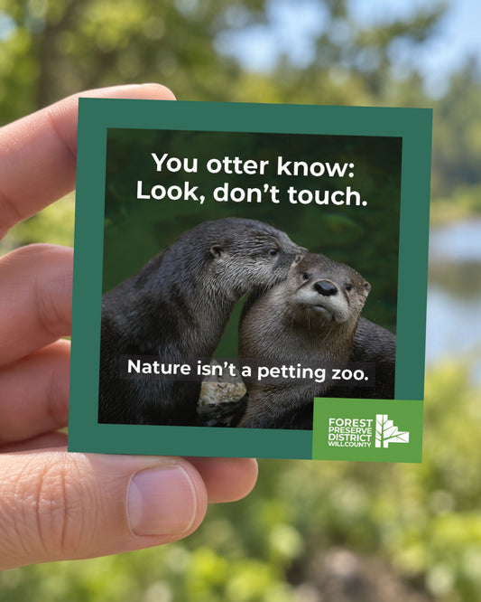 You otter know magnet