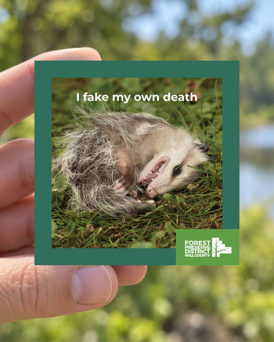 I fake my own death opossum magnet