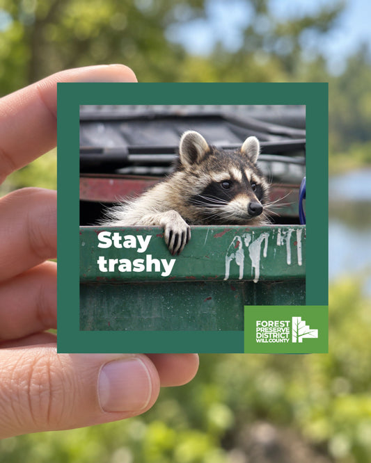 Stay trashy with this fun raccoon magnet