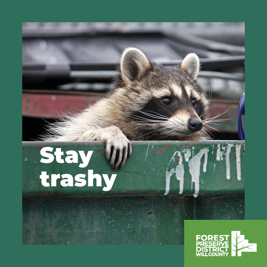 Stay trashy with this fun raccoon magnet