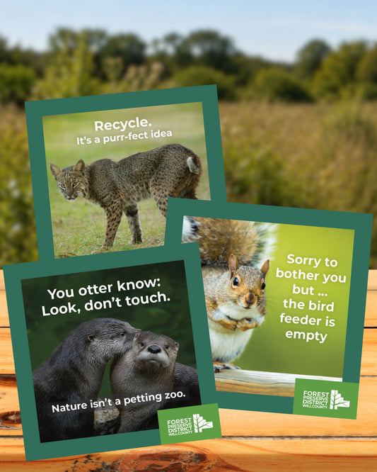 Magnets with a message (3-pack)