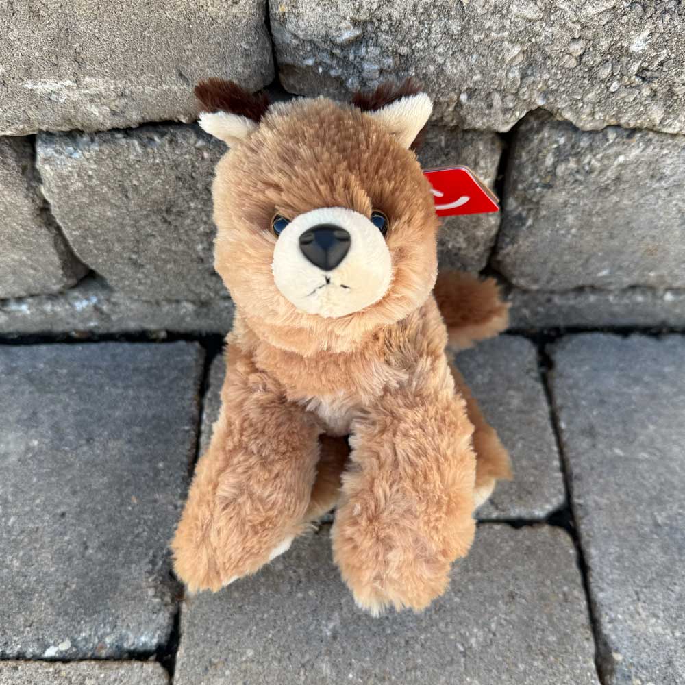 Little Clever the coyote stuffed animal