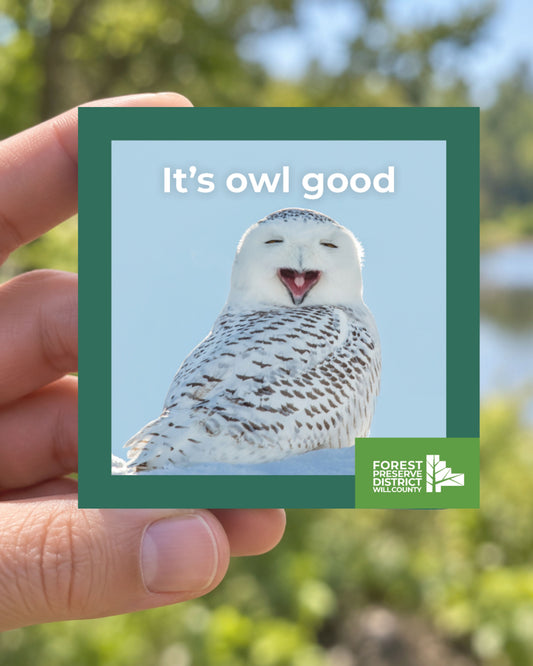 It's owl good magnet
